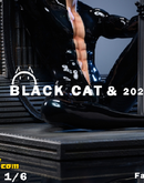 YGNN Studio Miraculous: Tales of Ladybug & Cat Noir Black Cat